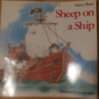 Sheep on a Ship