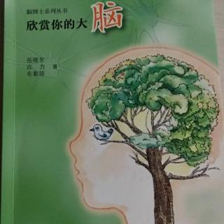 《欣赏你的大脑》~这就是“三脑”全家福