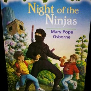 Night Of The Ninjas(2)