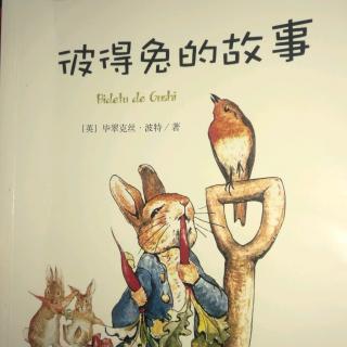 小兔彼得的故事