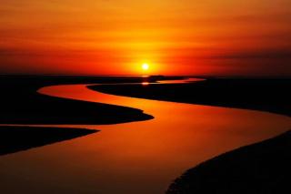 国风 卫风 61.河广 62.伯兮 63.有狐 64.木瓜