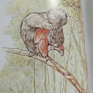 《小松鼠藏坚果的故事》