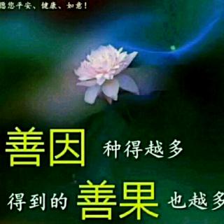 陈静瑜老师讲《女德》（六）