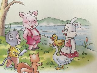 第五十二期：园长妈妈讲故事——《会游泳的小猪》