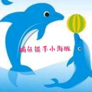 【故事623】虎渡名门幼儿园晚安绘本故事《捕鱼能手小海豚》