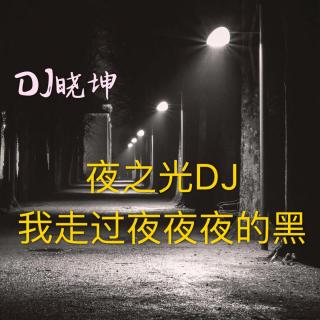 DJ晓坤-夜之光DJ 我走过夜夜夜的黑