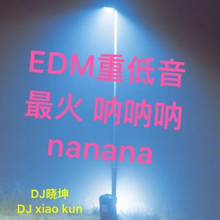 DJ晓坤-EDM重鼓-最火nanana 呐呐呐 开车听注意安全
