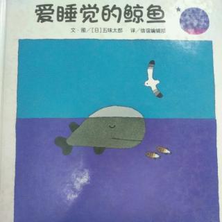 陈毅轩讲绘本故事《爱睡觉的鲸鱼》