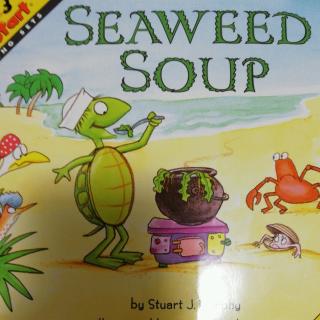 seaweed soup