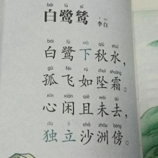 《白鹭鸶》李白