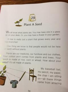 9-29 🌱Plant A Seed