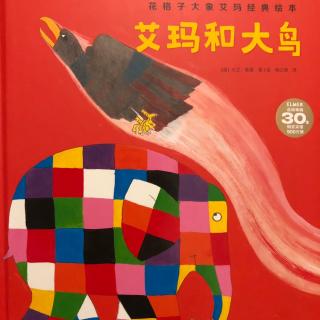 🌈艾玛🐘和大鸟🐦