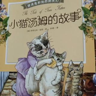 《小猫汤姆的故事》