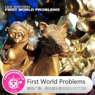 糖蒜爱音乐之The Selector：First World Problems