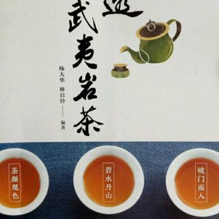 吃透武夷岩茶(自序)