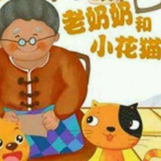 【故事179】供销幼儿园晚安故事《老奶奶和小花猫》