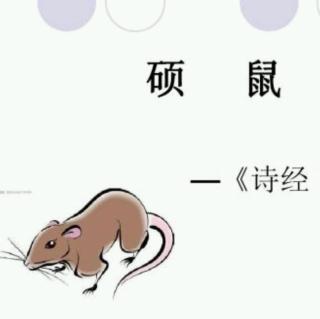 诗经·魏风·硕鼠