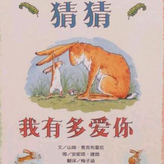 猜猜我有多爱你