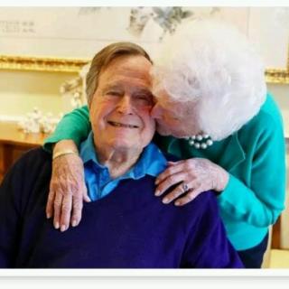 老布什和芭芭拉的爱情。