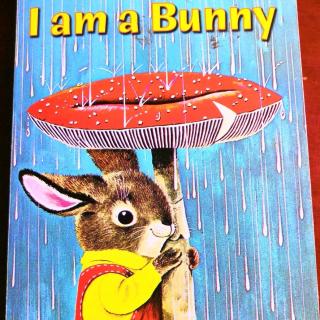 英文绘本I am a bunny