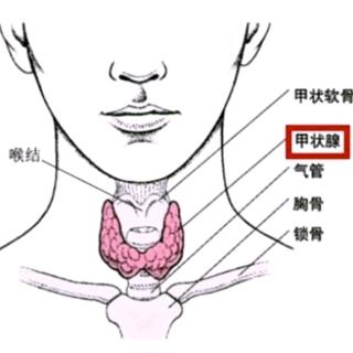 生气能诱发甲亢吗？