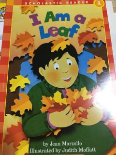 学乐I Am系列-I Am a Leaf