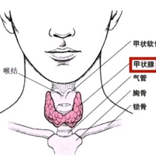 中医如何治疗甲状腺结节？