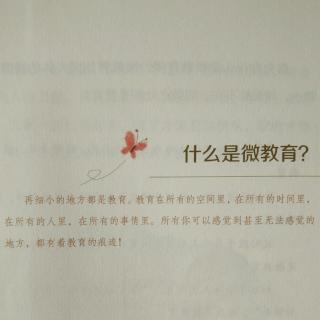 （一）微教育理念   1、什么是微教育？