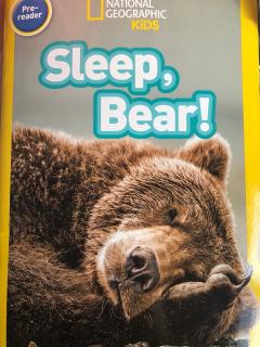 sleep bear---Olga