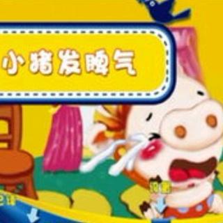 【故事180】供销幼儿园晚安故事《小猪🐷发脾气》