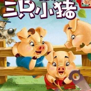 【故事182】供销幼儿园晚安故事《三只小猪》