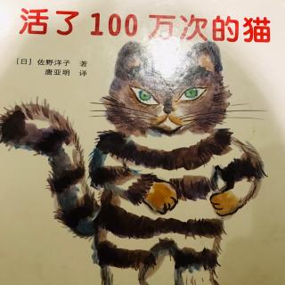 阳光雨露睡前故事《活了100万次的猫》