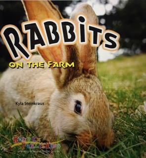306 Rabbits on the farm