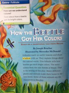 G2 Literature U4W4 - 🐞How The Beetle Got Her Colors