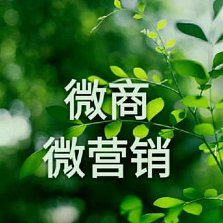 创业成功的关键是什么？