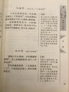 江城子口口