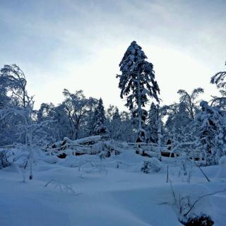 那一场下了很久的雪～李西闽(文)