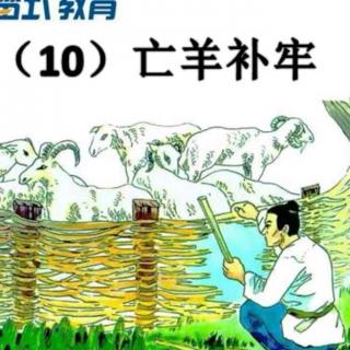 三年级成语10.亡羊补牢