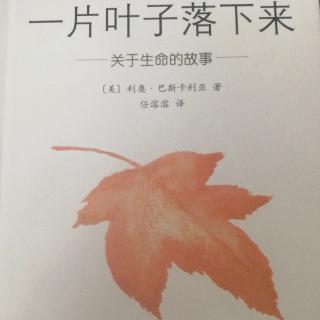 跳跳妈妈《一片叶子落下来》