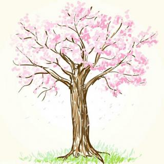 一棵开花的树-席慕蓉「作者」、柳如烟「主播」
