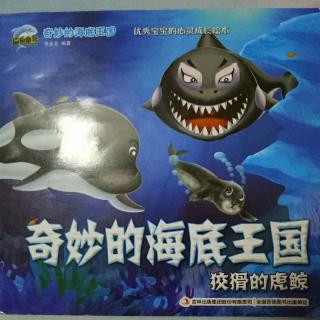 奇妙的海底王国——《狡猾的虎鲸》