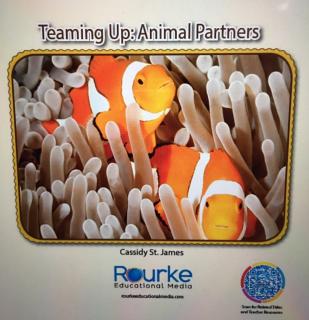 308 Teaming up: Animal partners