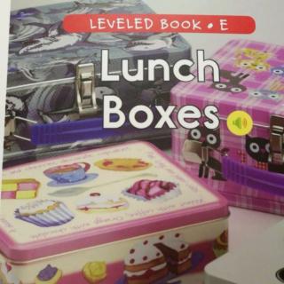 E37 Lunch Boxes