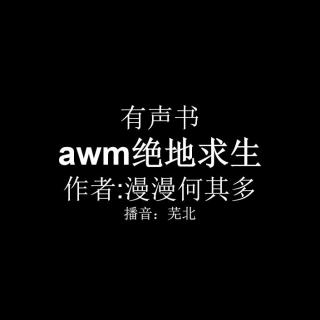 awm绝地求生有声书预告