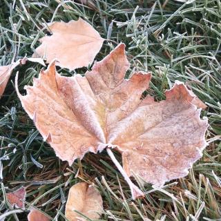 同题诗大雪17首