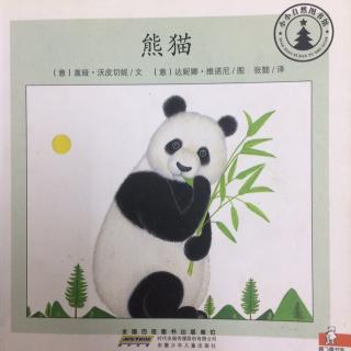 小小自然图书馆-熊猫
