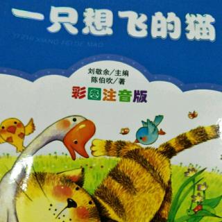 一只想飞的猫🐱～骆驼寻宝记《第一节》