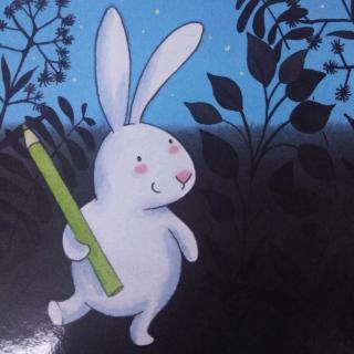 兔子的心愿