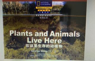 Plants and Animals Live Here!12/7/2018