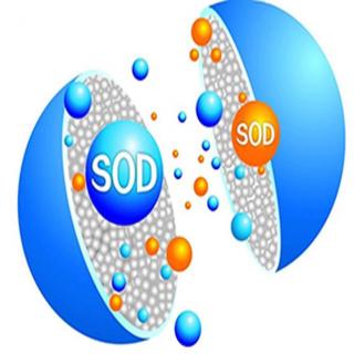 【化妆品原料—SOD】